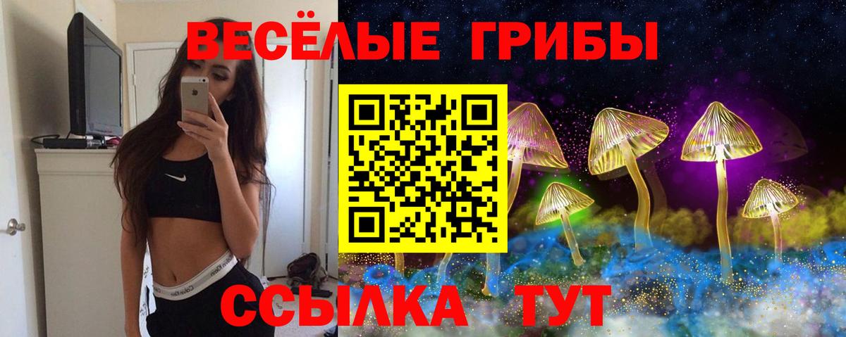 Острогожск  Галлюциногенные грибы мицелий  Вход с VPN 